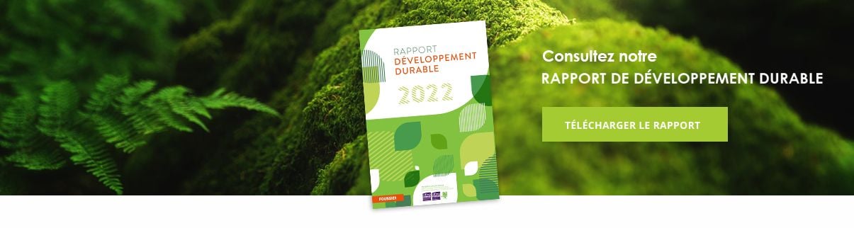 rapport développement durable